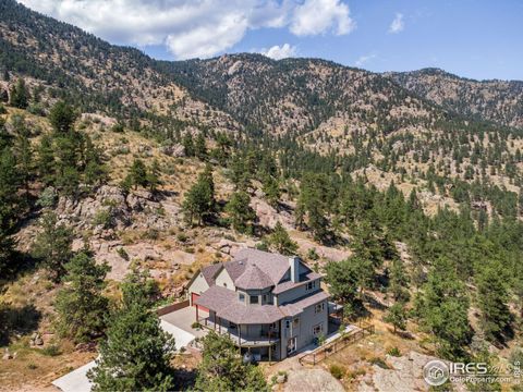 60 Chieftain Ct Lyons CO 80540