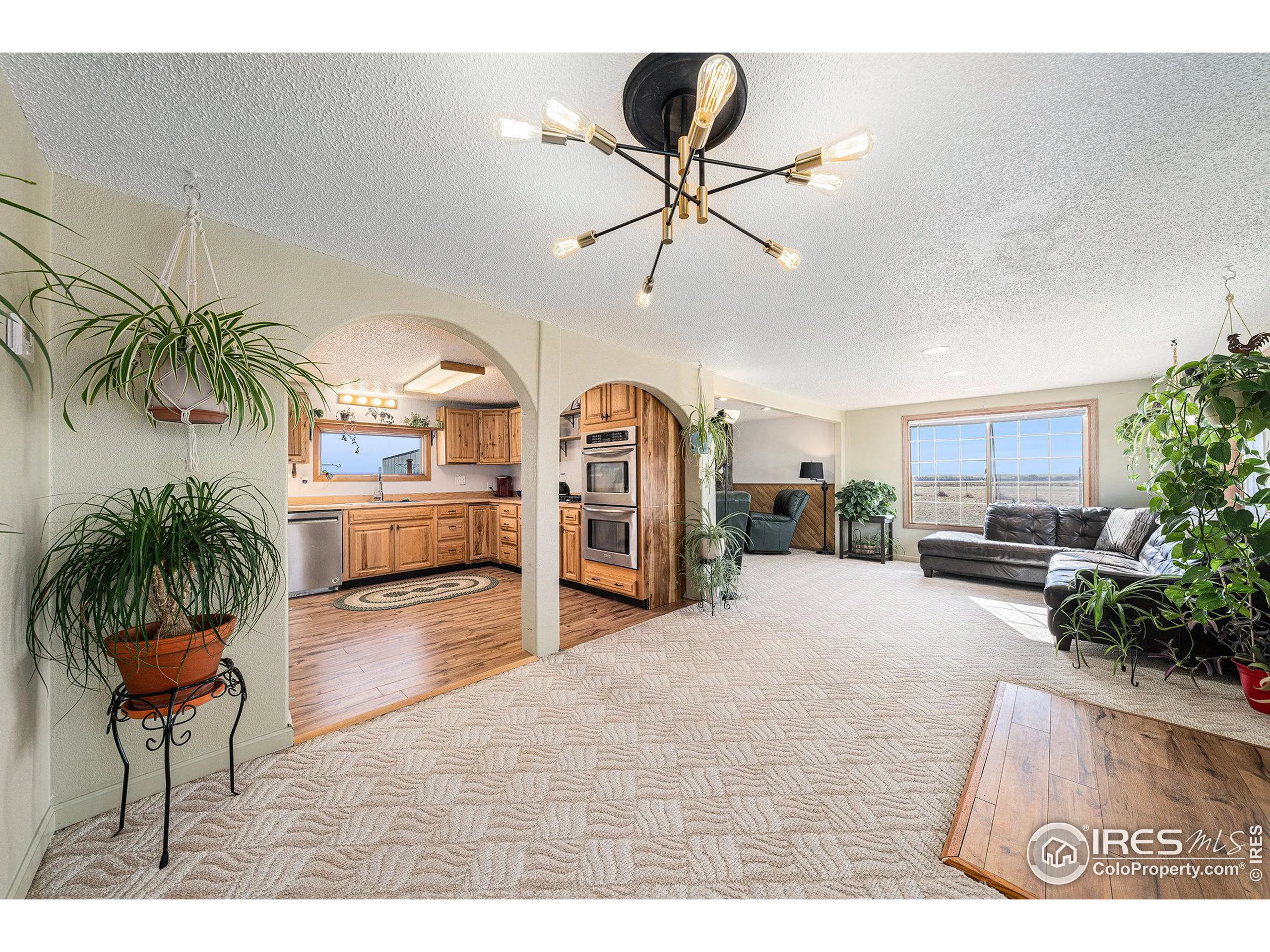 Wellington, Colorado 80549, United States, 3 Bedrooms Bedrooms, ,1 BathroomBathrooms,Residential,Active,91042