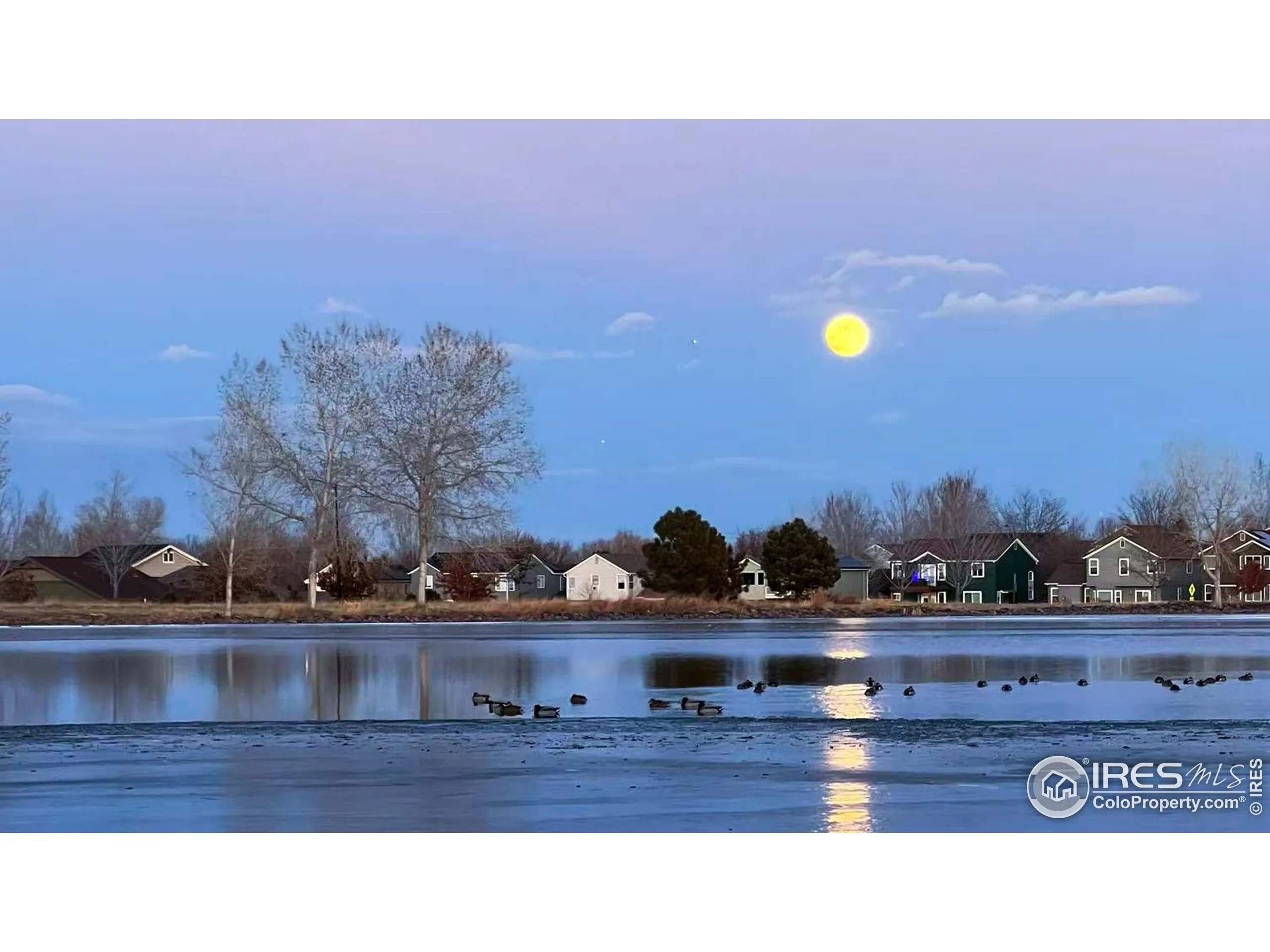 Erie, Colorado 80516, United States, 6 Bedrooms Bedrooms, ,5 BathroomsBathrooms,Residential,Active,197284