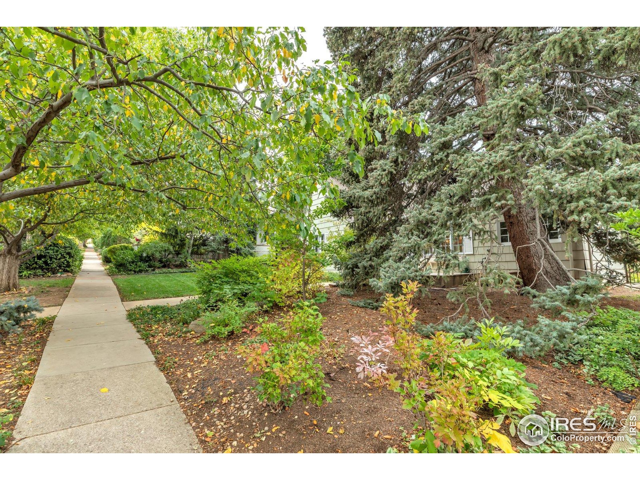 763 Grant Pl