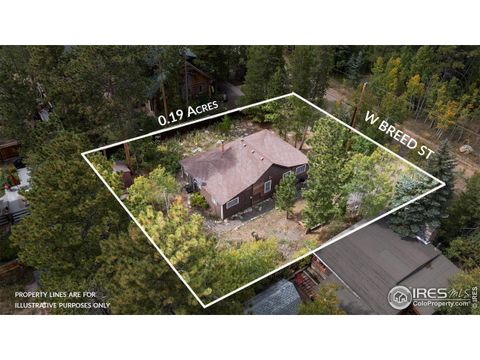 550 W Breed St Nederland CO 80466