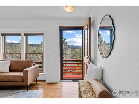 880 Hummer Dr Nederland CO 80466