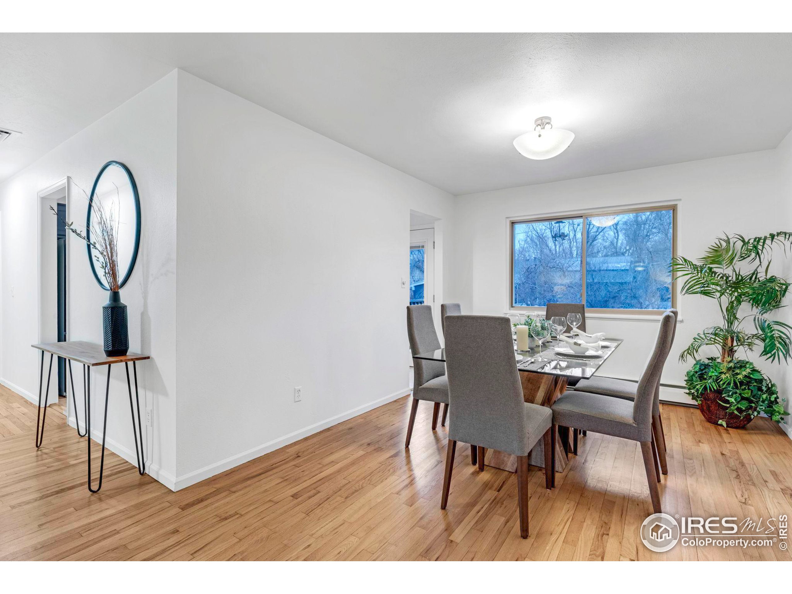 1805 Del Rosa Ct