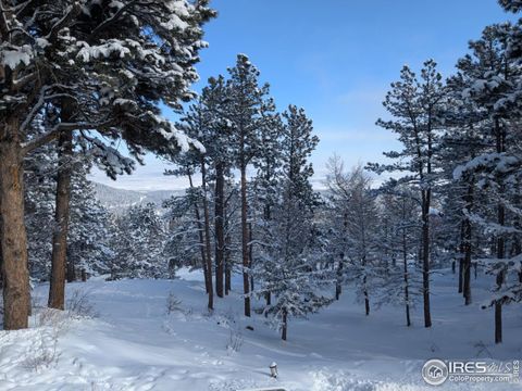 Tiny photo for 74 Sky Trail Rd, Boulder, CO 80302 (MLS # 1045591)