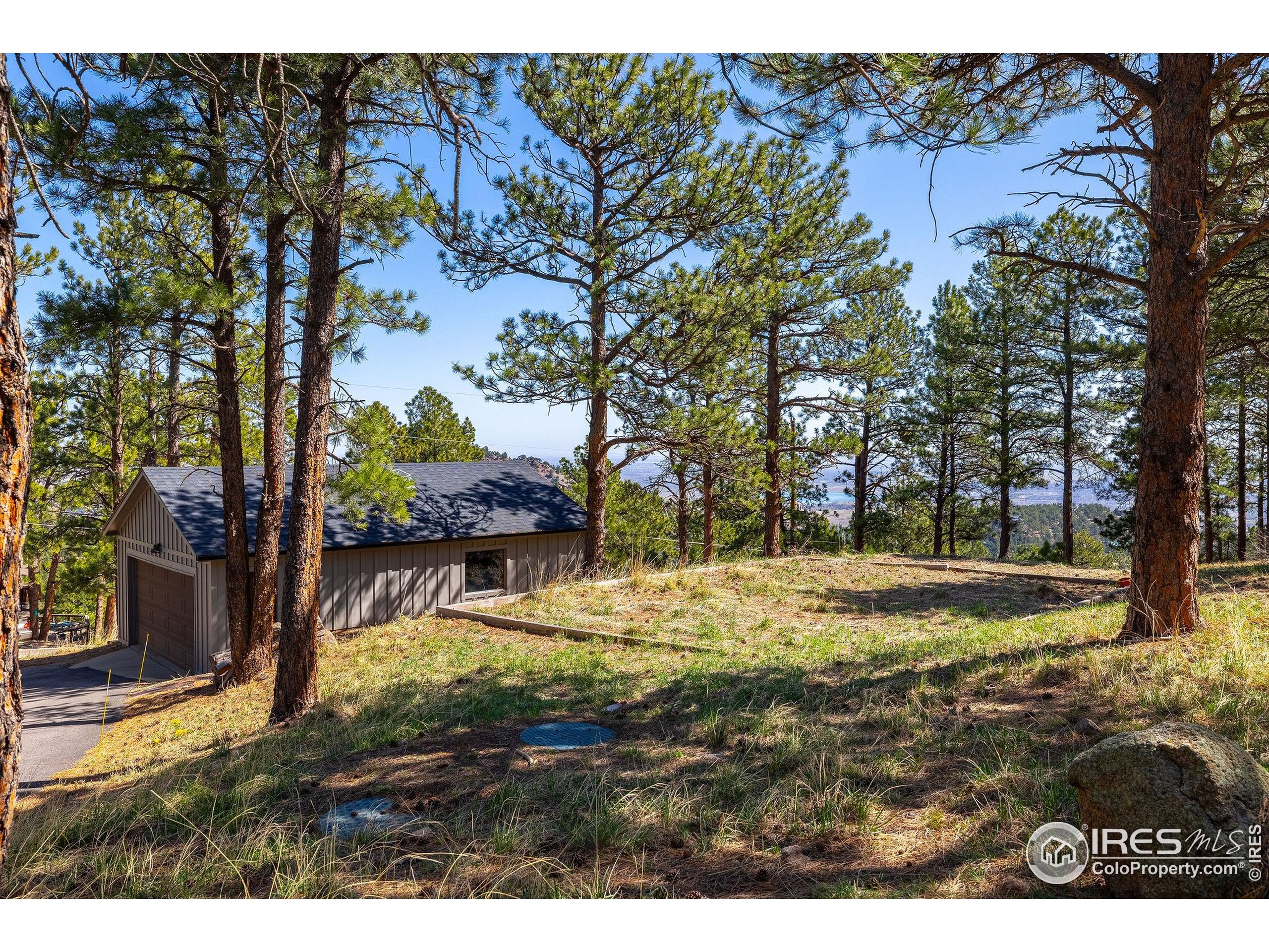 65 Bristlecone Way