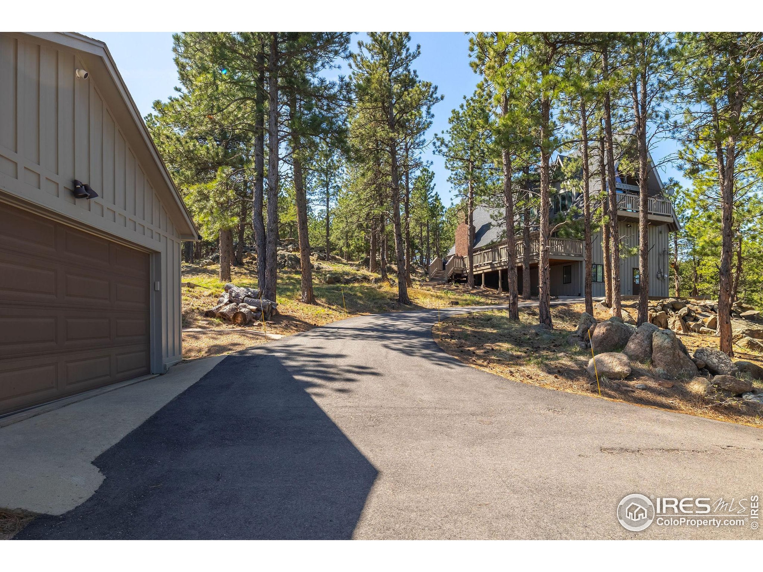65 Bristlecone Way