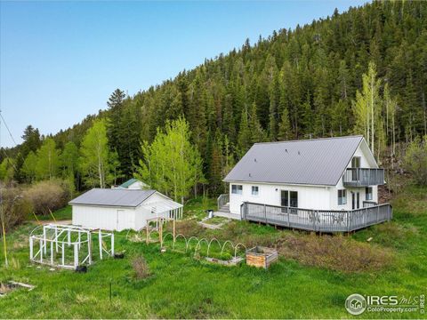 489 Beaver Creek Dr Nederland CO 80466