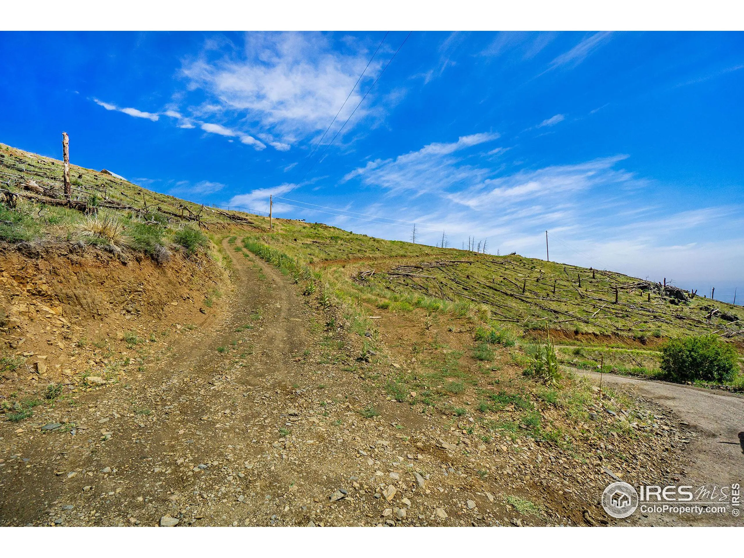 Bellvue, Colorado 80512, United States, ,Land,Pending,88996