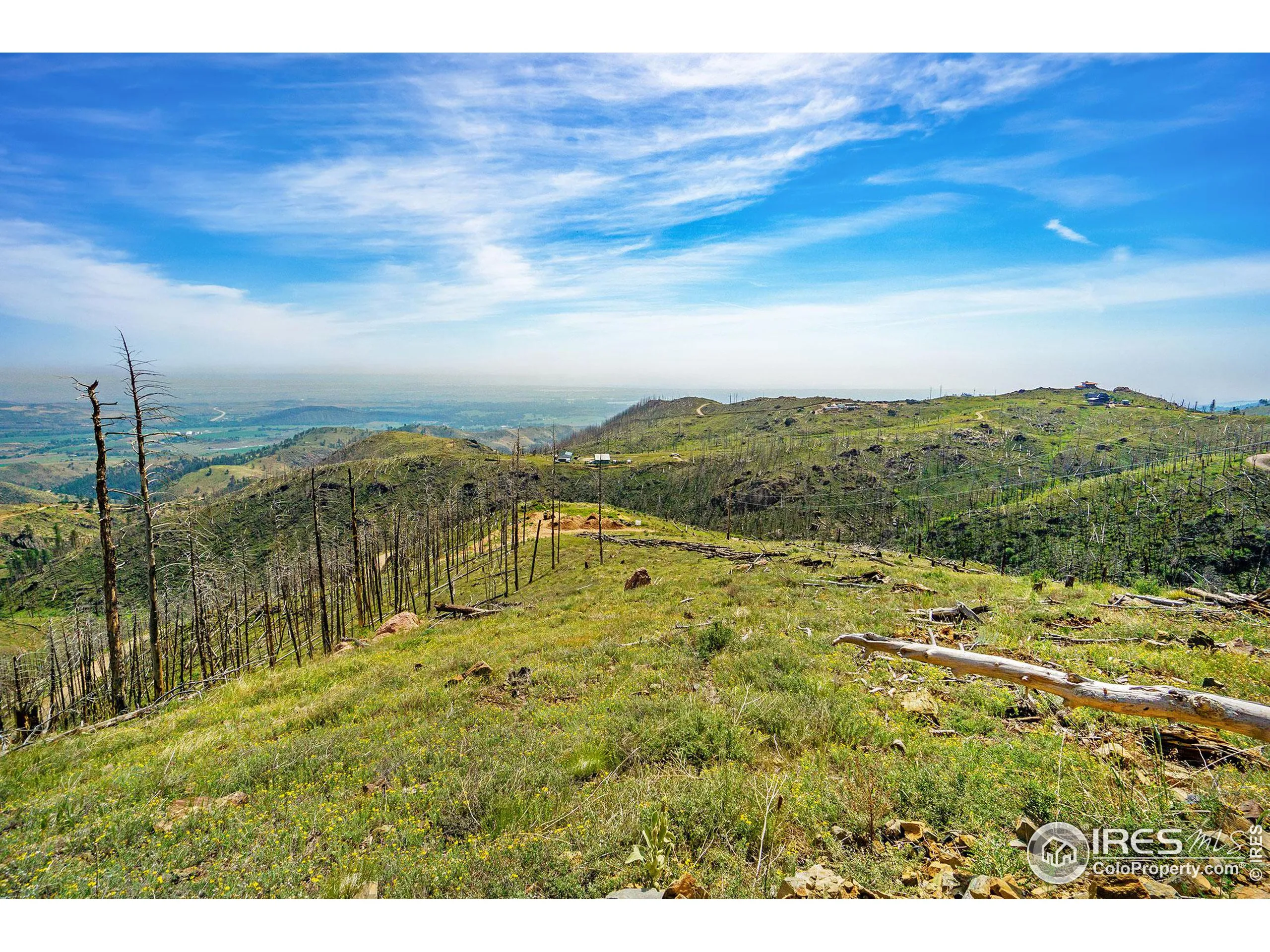 Bellvue, Colorado 80512, United States, ,Land,Pending,88996