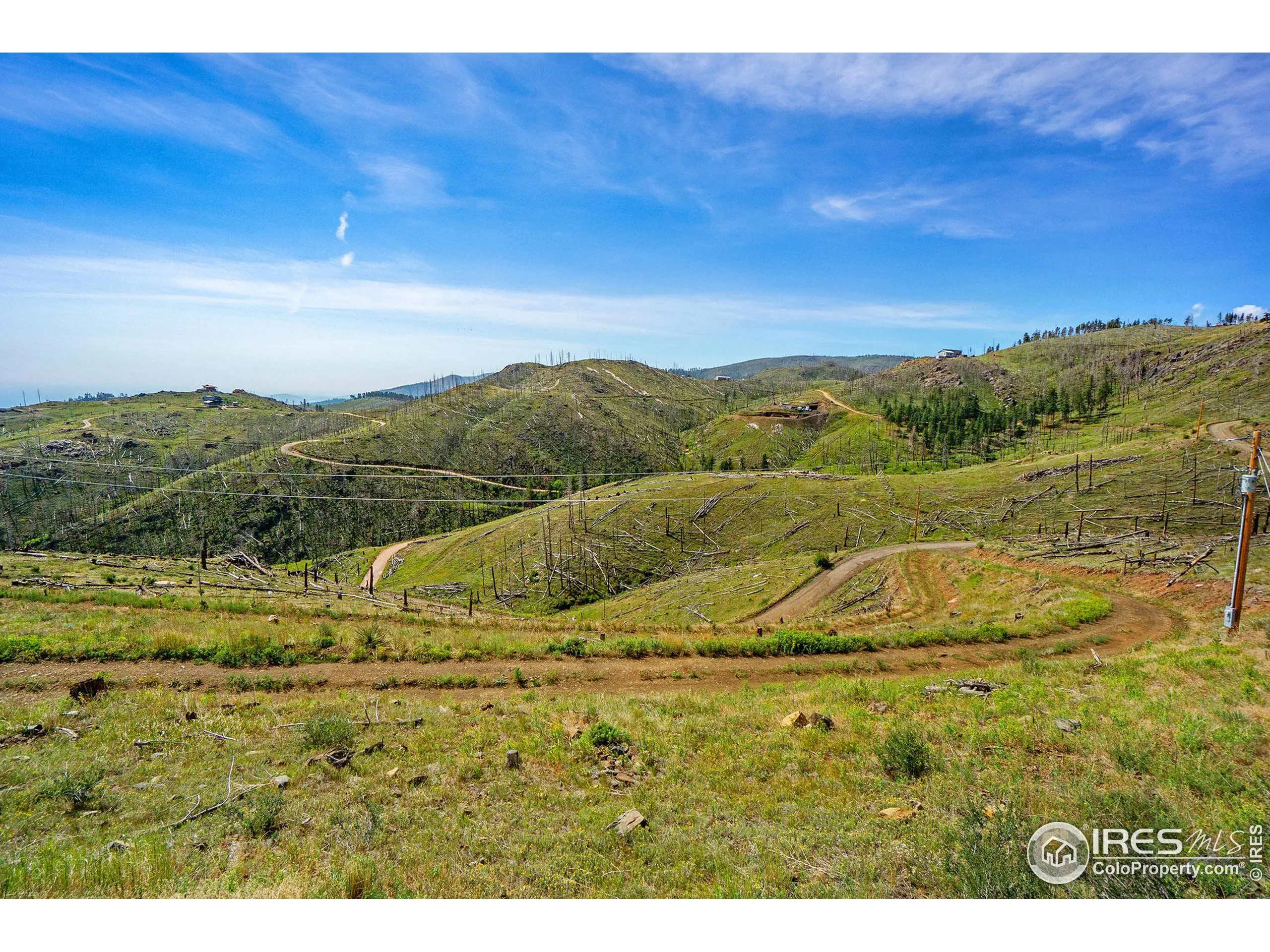 Bellvue, Colorado 80512, United States, ,Land,Pending,88996