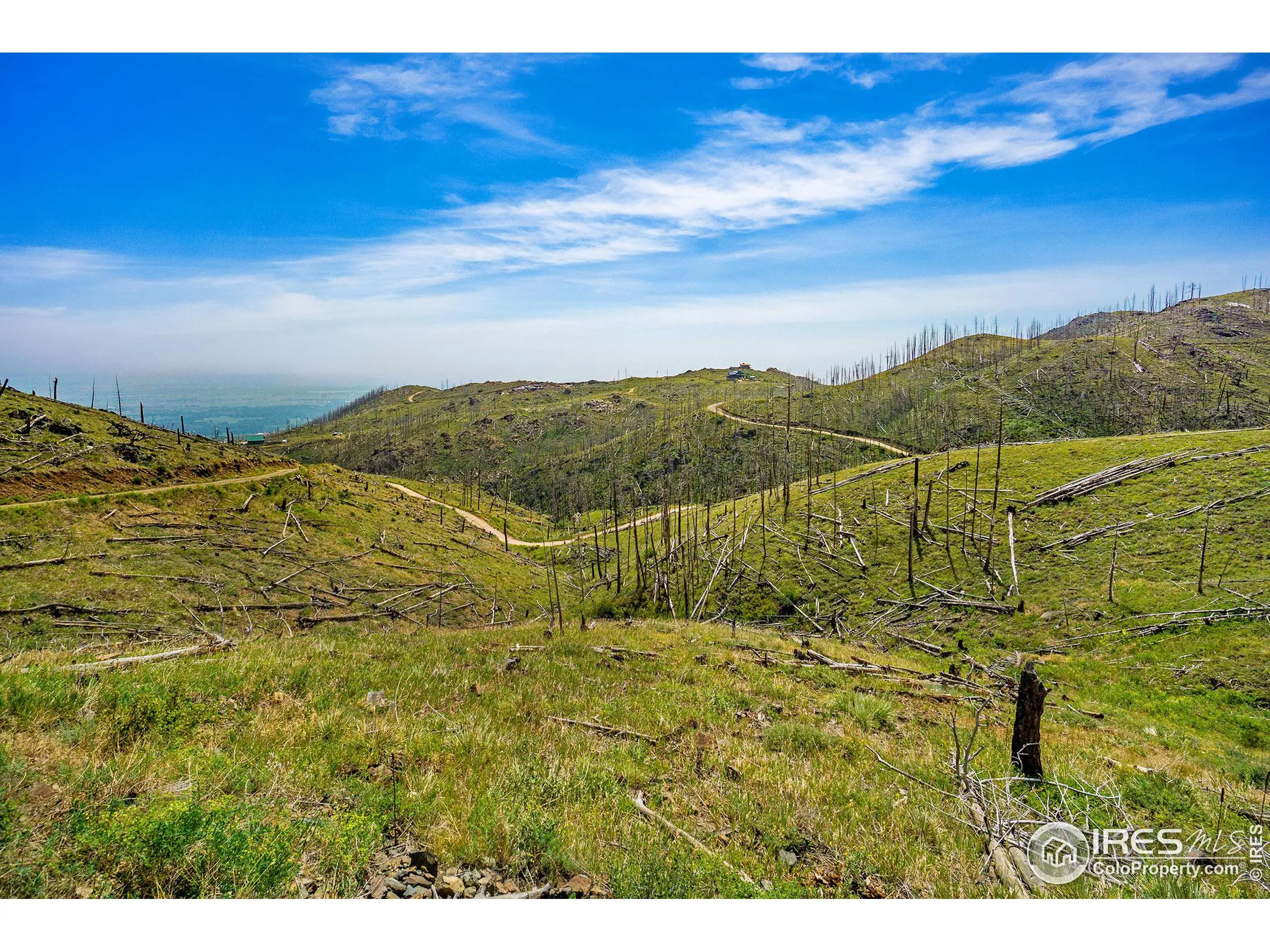 Bellvue, Colorado 80512, United States, ,Land,Pending,88996