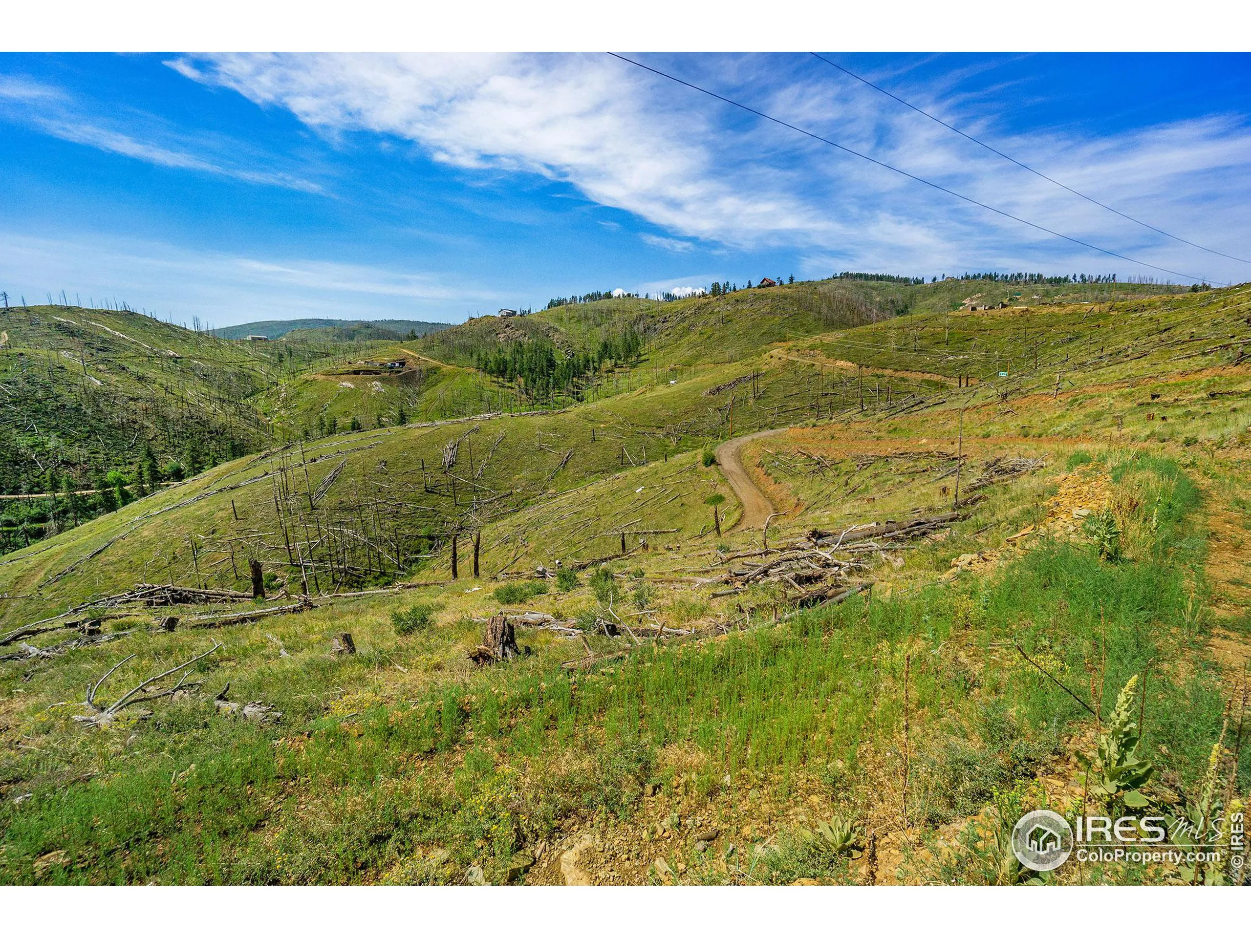 Bellvue, Colorado 80512, United States, ,Land,Pending,88996