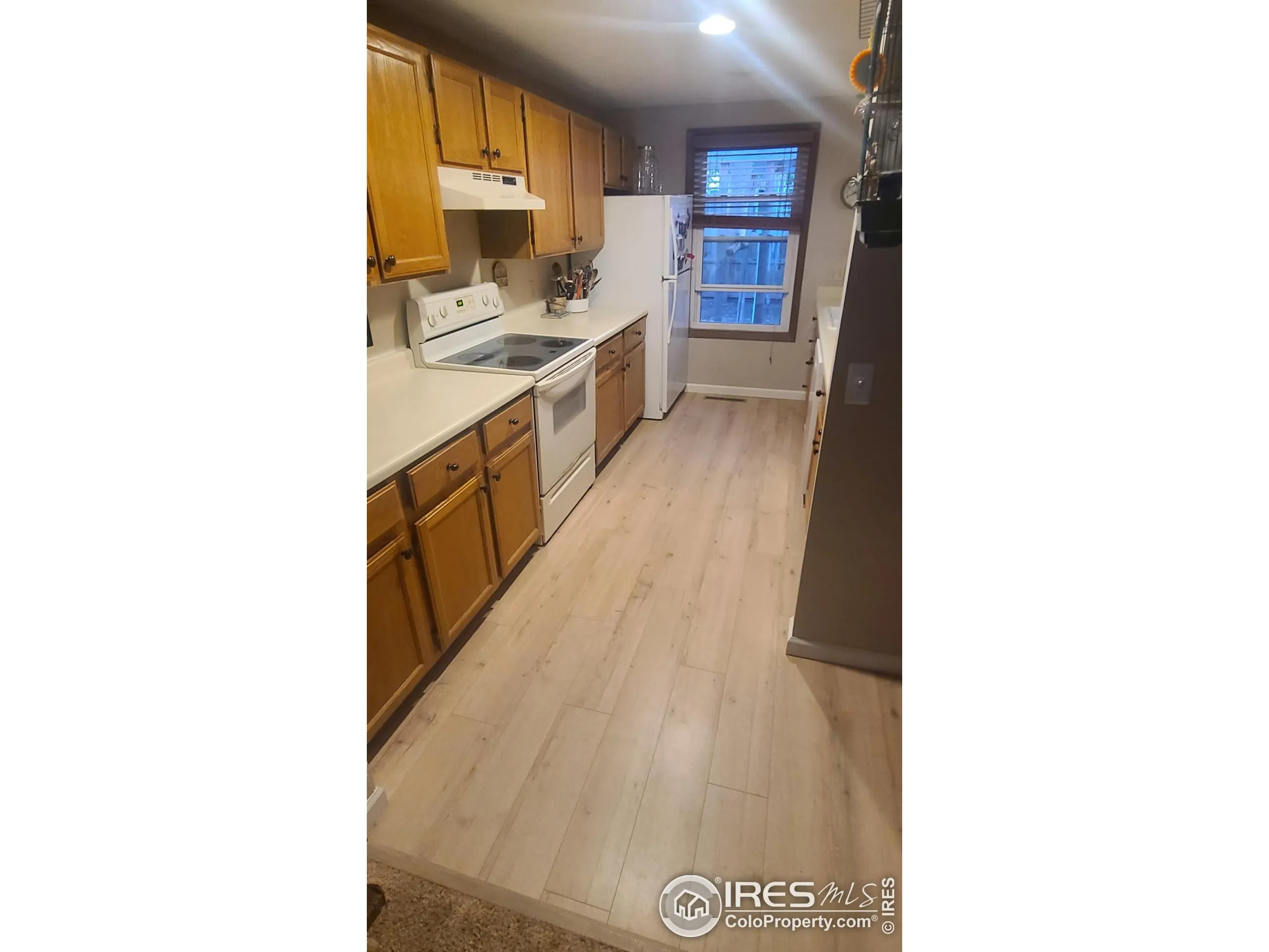 Fort Collins, Colorado 80526, United States, 3 Bedrooms Bedrooms, ,2 BathroomsBathrooms,Residential,Active,175902