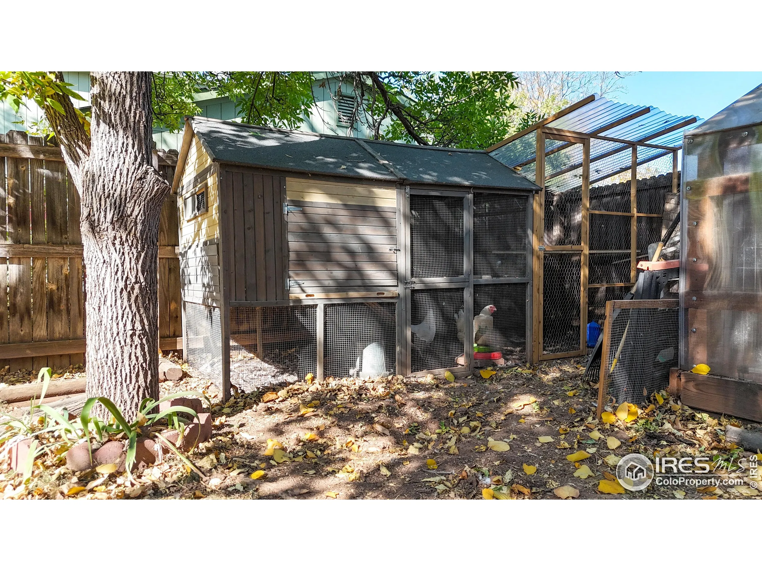 Fort Collins, Colorado 80526, United States, 3 Bedrooms Bedrooms, ,2 BathroomsBathrooms,Residential,Active,175902