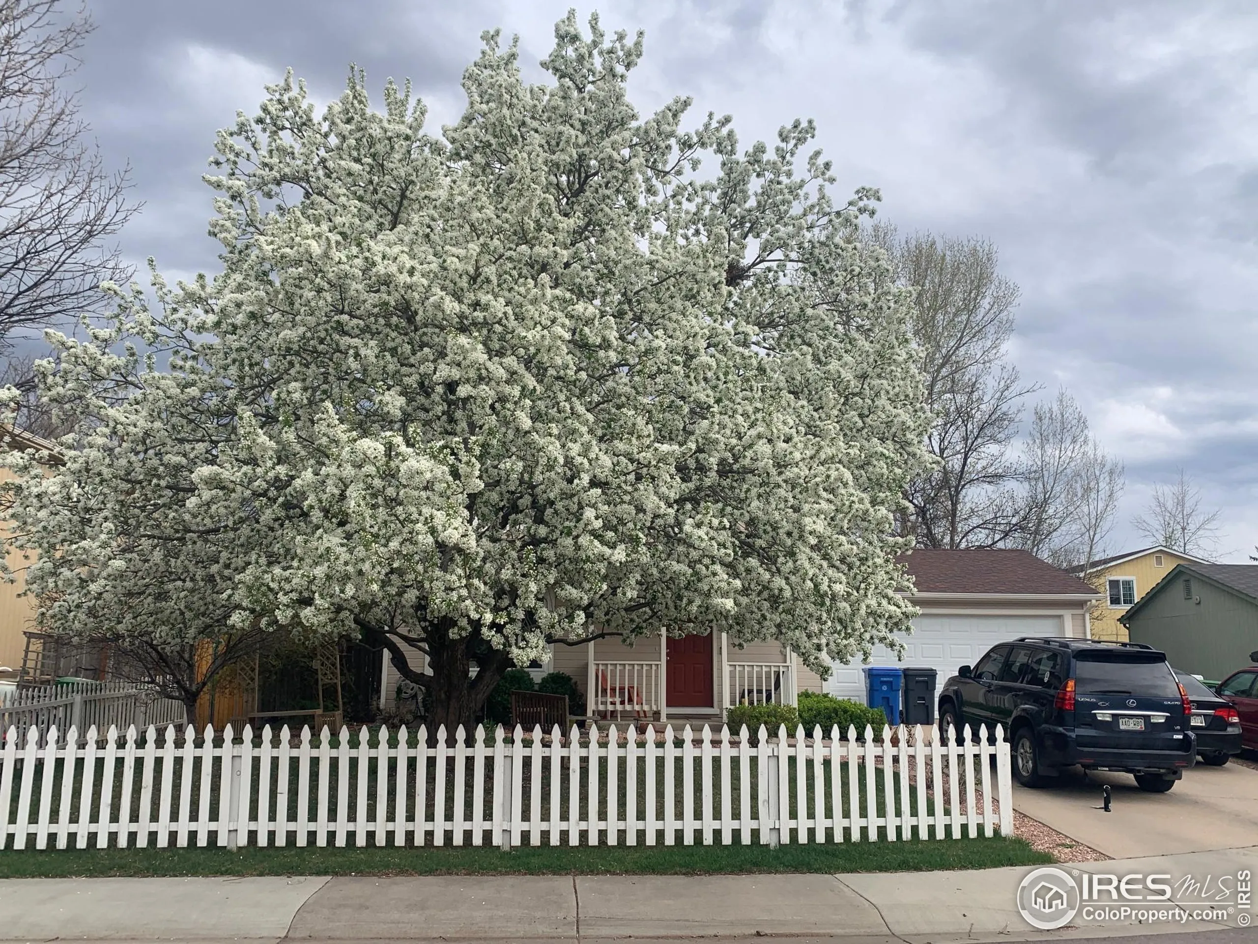 Fort Collins, Colorado 80526, United States, 3 Bedrooms Bedrooms, ,2 BathroomsBathrooms,Residential,Active,175902