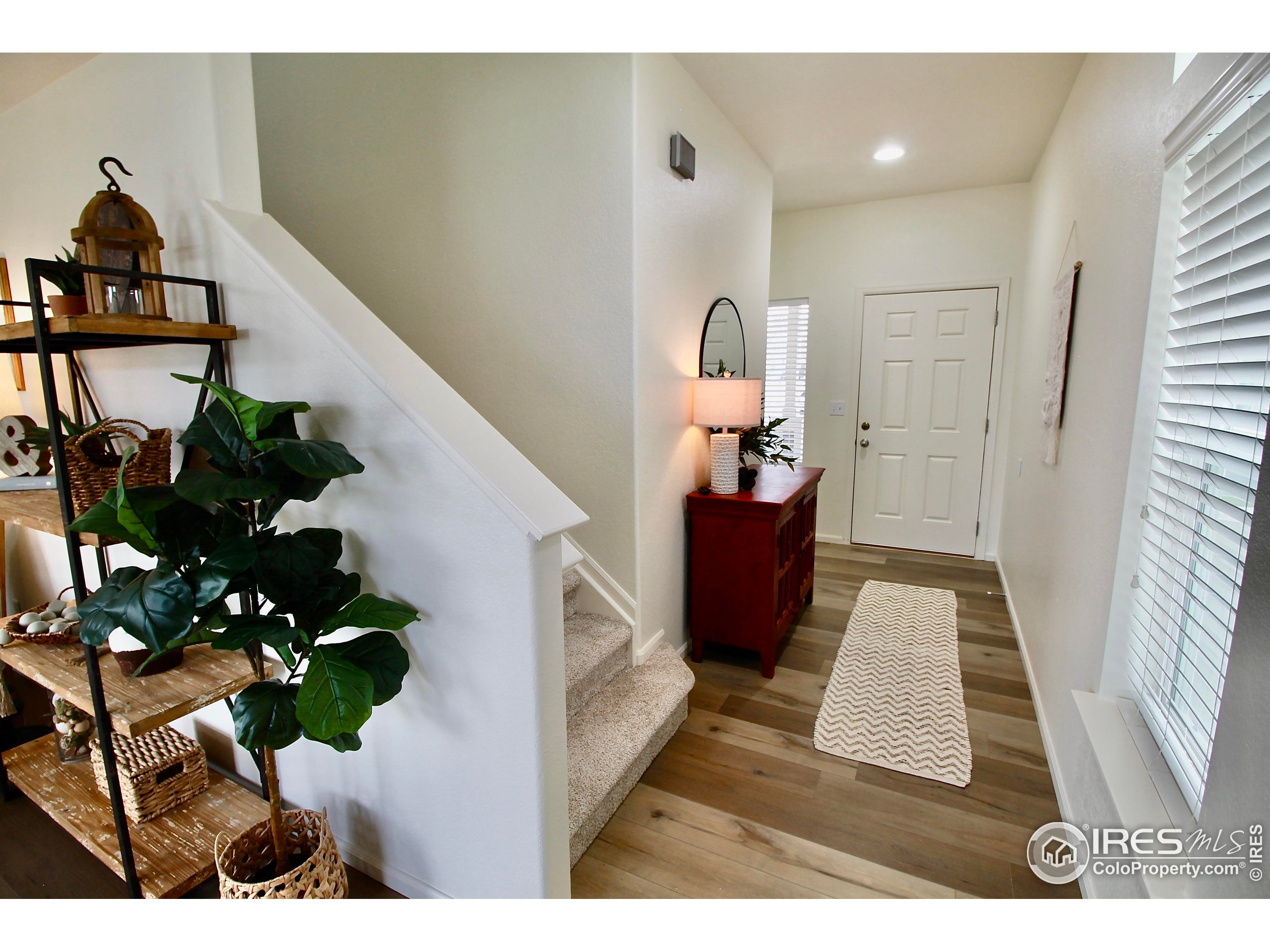 3409 Yellowwood Ln