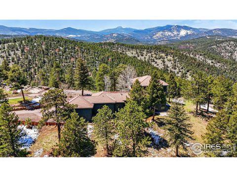 290 Skyhill Dr Evergreen CO 80439