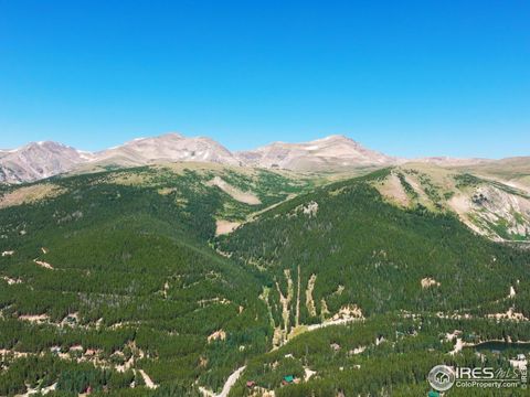 8821 Fall River Rd Idaho Springs CO 80452