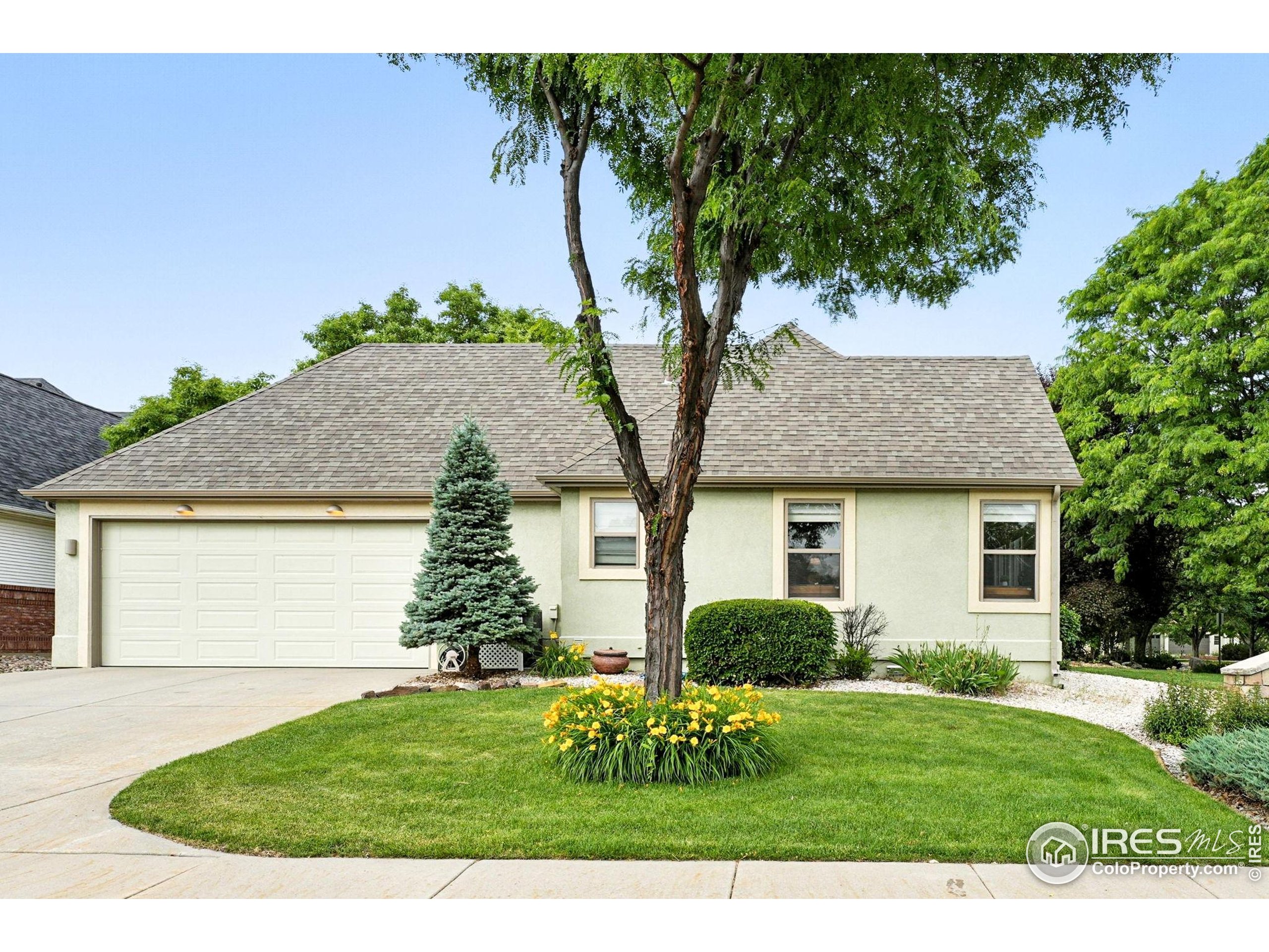 734 Rossum Dr