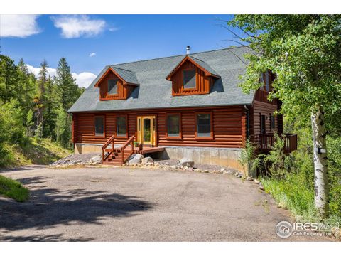 280 Hummer Dr Nederland CO 80466