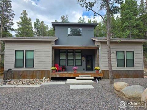 710 McMillen Way Nederland CO 80466