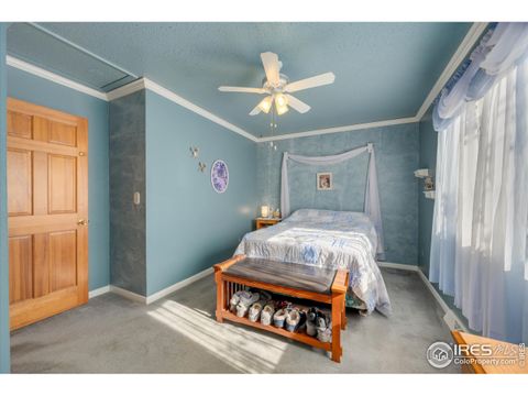 Tiny photo for 325 N 4th St, La Salle, CO 80645 (MLS # 1044993)