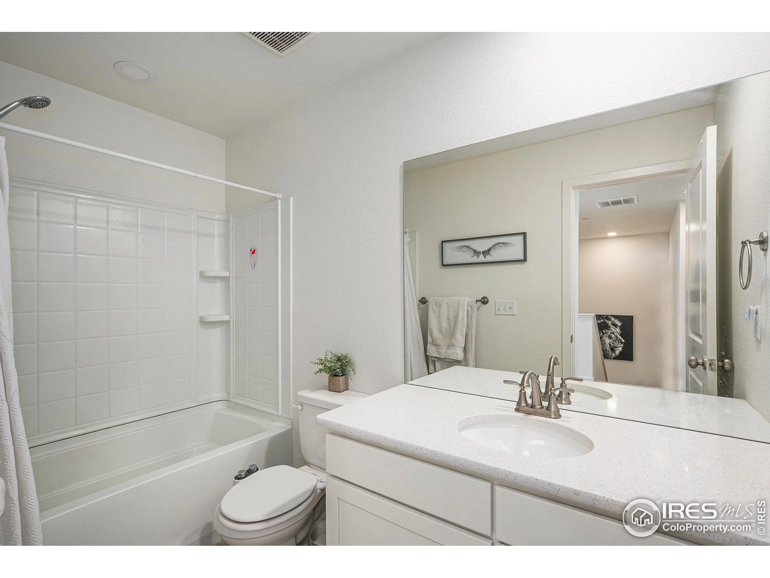 Timnath, Colorado 80547, United States, 3 Bedrooms Bedrooms, ,3 BathroomsBathrooms,Residential,Active,77397