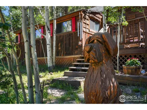 1410 Caribou Rd, Nederland, CO MLS: 1033004