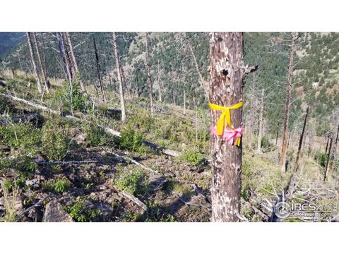 Tiny photo for 0 Gold Trl, Boulder, CO 80302 (MLS # 1042495)