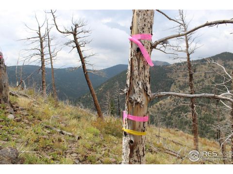 Tiny photo for 0 Gold Trl, Boulder, CO 80302 (MLS # 1042495)