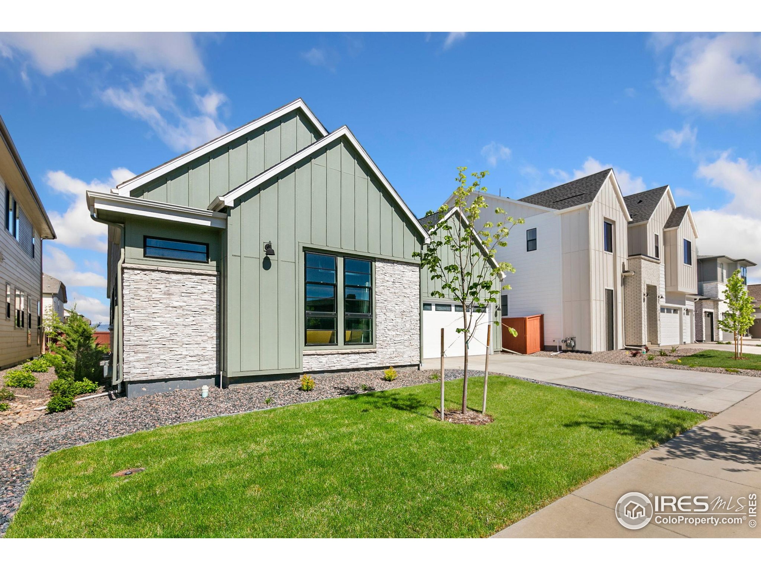 1716 Branching Canopy Dr