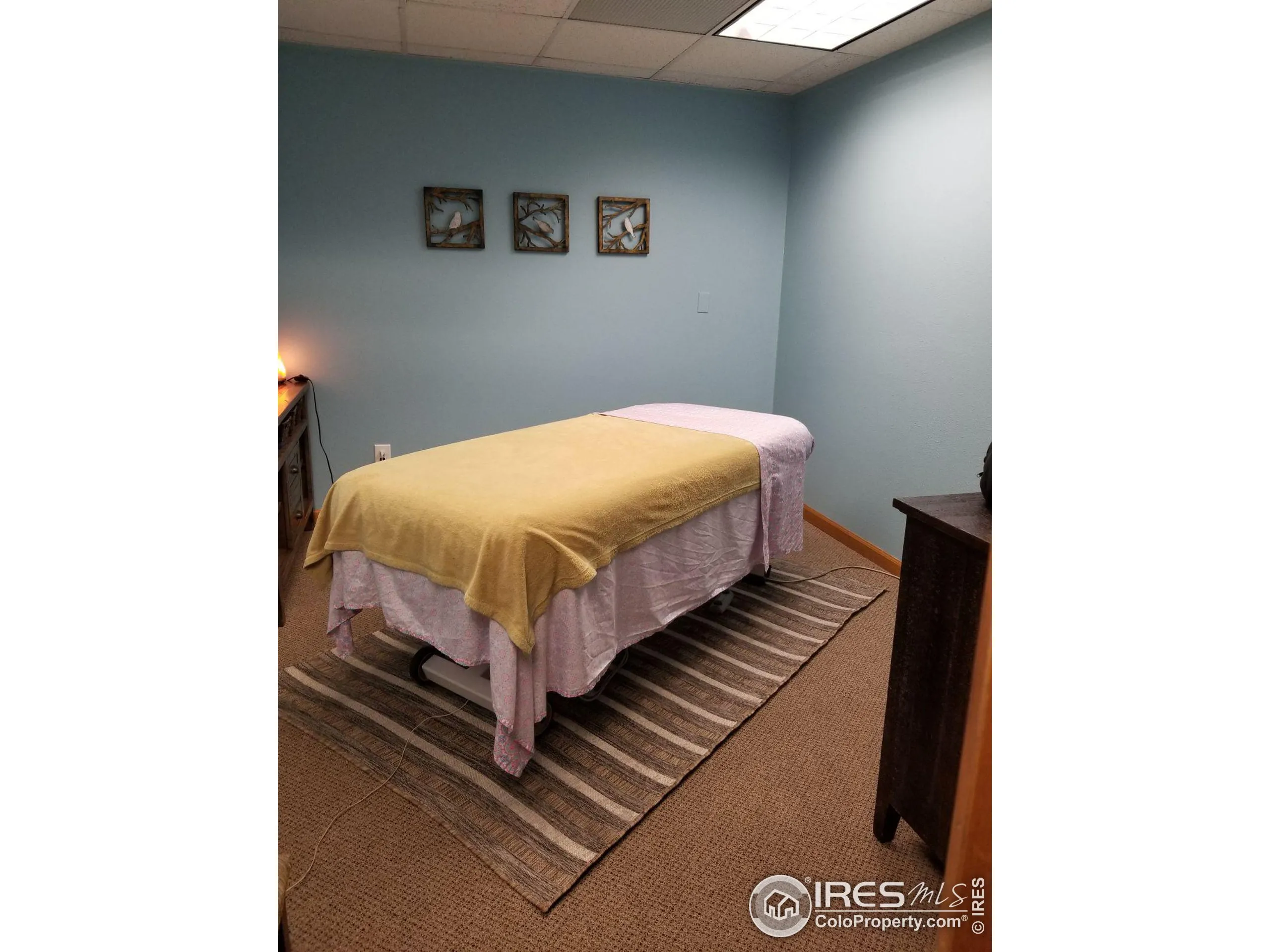 Fort Collins, Colorado 80525, United States, ,Commercial,Active,58163