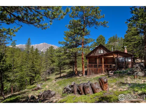 1217 Big Owl Rd, Allenspark, CO 80510 - MLS#: 991277