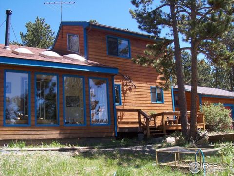 38 Navajo Trl Nederland CO 80466
