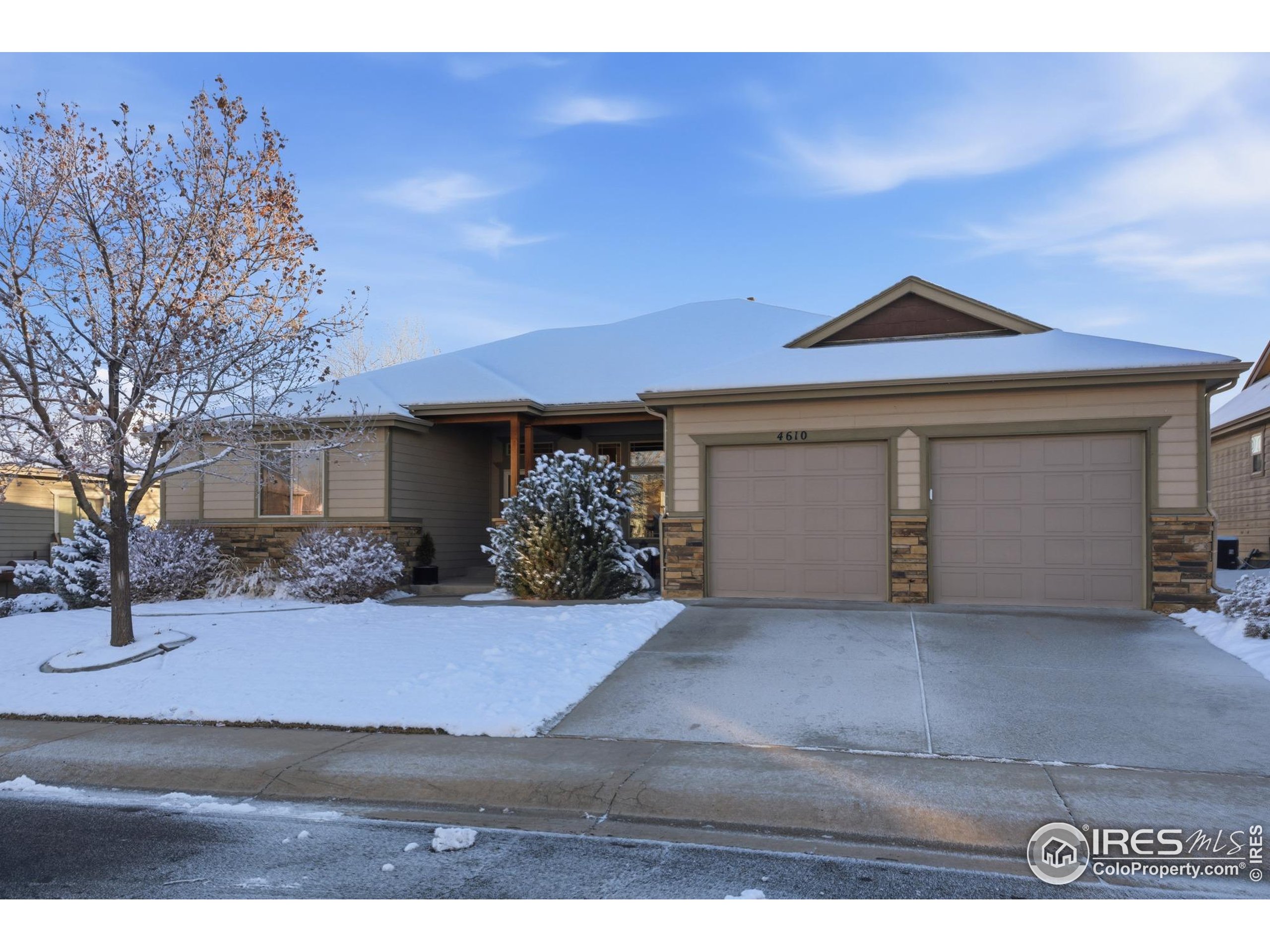 4610 Horizon Ridge Dr