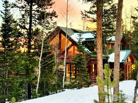 287 S Skinner Rd Allenspark CO 80510