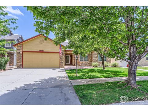 9038 Eldorado Ave, Frederick, CO 80504 - #: 991004