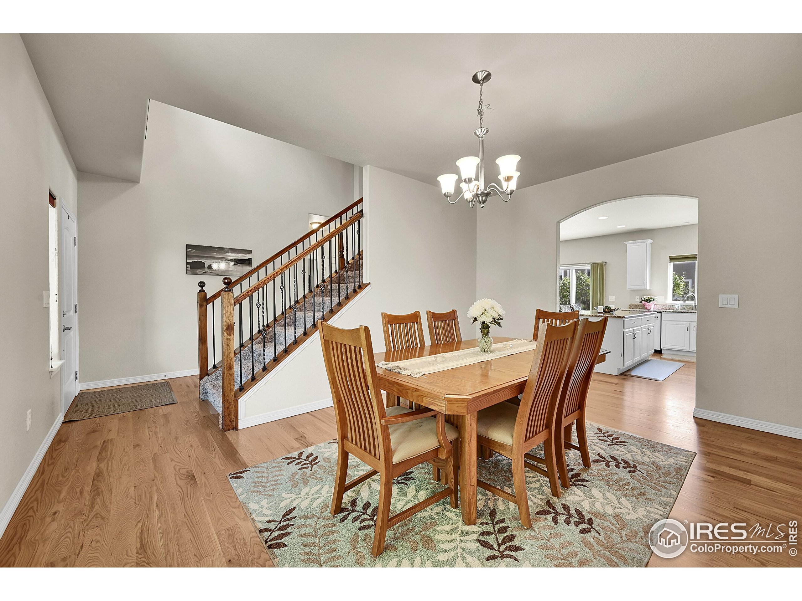 9004 Harlequin Cir