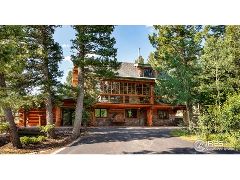 625 N Beaver Rd, Nederland, CO MLS: 1026490