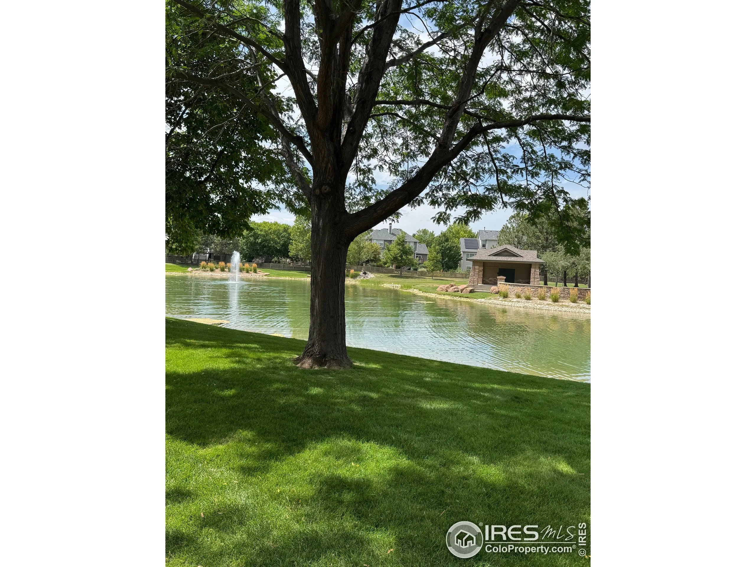 Fort Collins, Colorado 80528, United States, 6 Bedrooms Bedrooms, ,5 BathroomsBathrooms,Residential,Active,187004