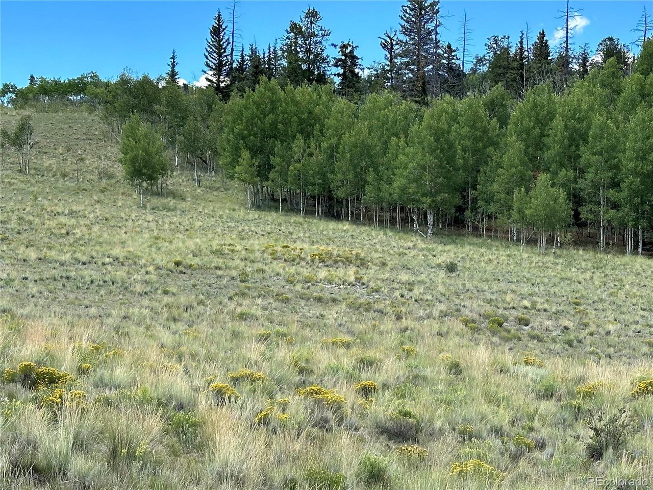 Photo 1 of 14 — 95 Wabeno Ct, Jefferson, CO 80456