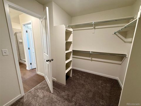 Tiny photo for 776 N Carrie Ct, Watkins, CO 80137 (MLS # 4127367)