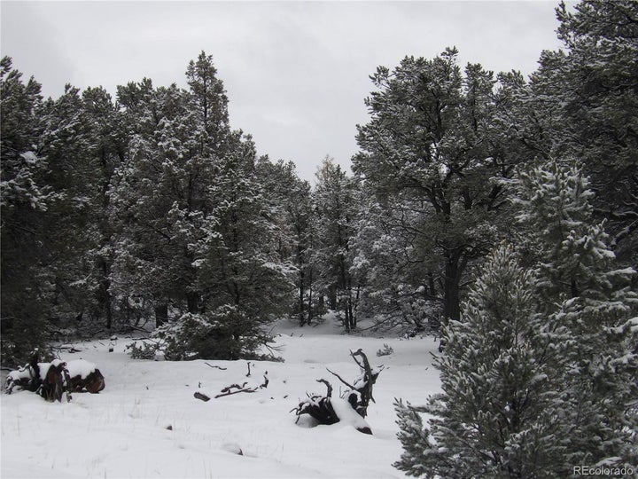 Photo 1 of 3 — 2119 Oriole Overlook, Crestone, CO 81131