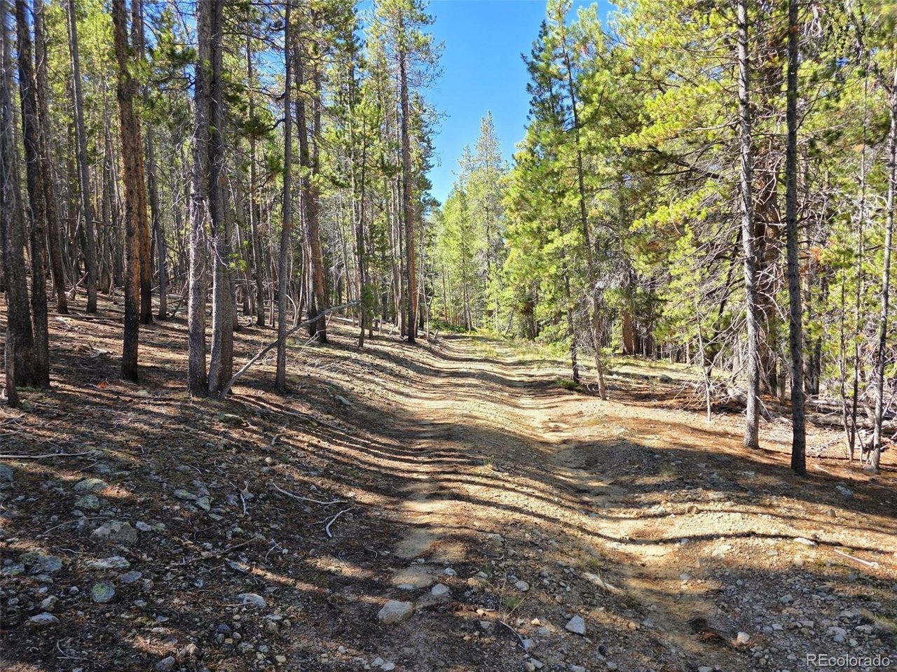 840 Forest Service Road 890