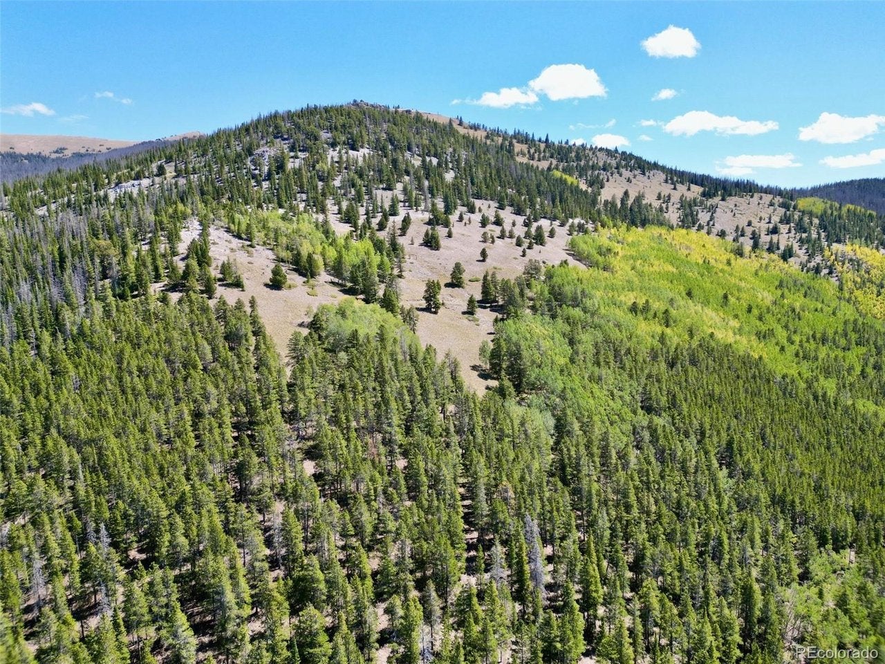 840 Forest Service Road 890