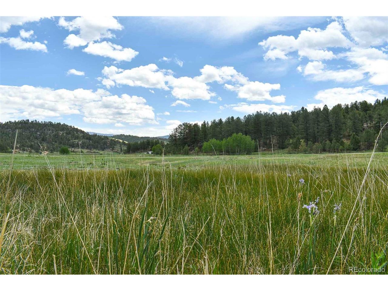 Photo 1 of 39 — 729 Valley Dr, Guffey, CO 80820