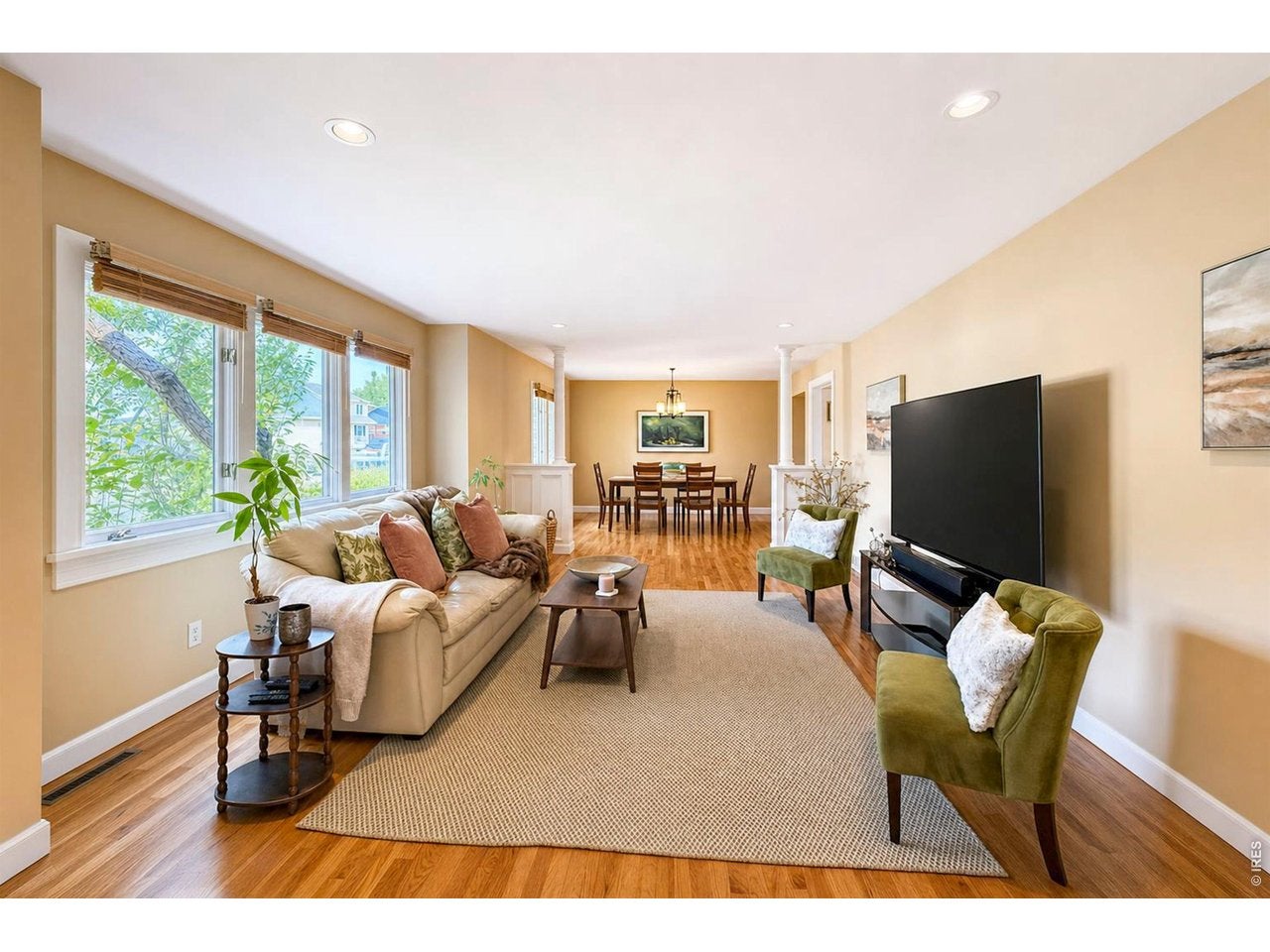 1224 Twin Peaks Cir