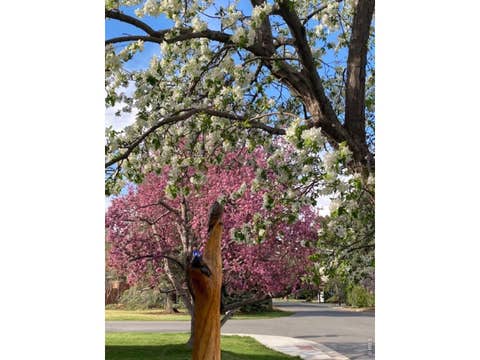 Tiny photo for 3255 20th St, Boulder, CO 80304 (MLS # 1063138)