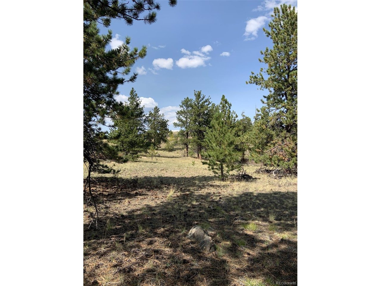 Photo 1 of 10 — 52 Bit Way, Hartsel, CO 80449