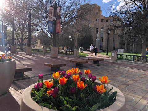 Tiny photo for 3120 Corona Trl L-206, Boulder, CO 80301 (MLS # 1055745)